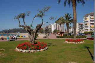 Antillas Fenals Apartment in Lloret de Mar - Lloret de Mar - 3
