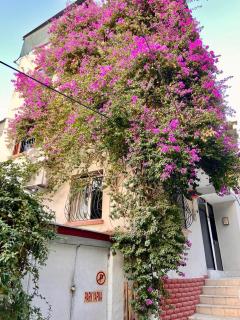 Small House - Smirne - 0
