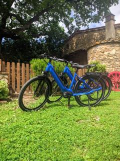 Agriturismo Podere Carducci - 6