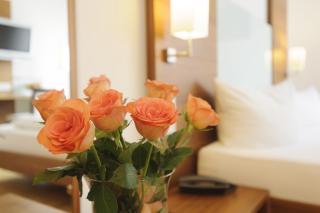 Hotel Augustiner Tor - Konstanz - 9