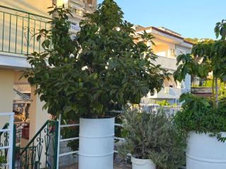 Joen Apartments - Sarandë - 8