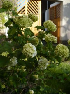 Chalupa Na Bidýlku - 8