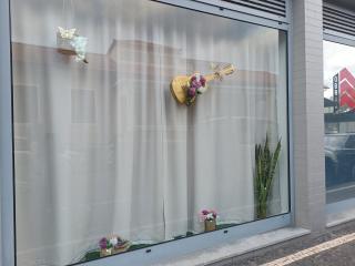 Kings B&B Santa Cruz - 4