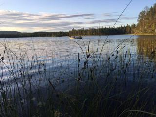 Schwedisches Bauernhaus - 3