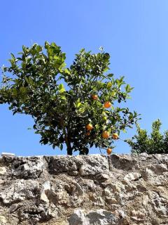 Maison Théia, entre mer et montagne Samonas - 4