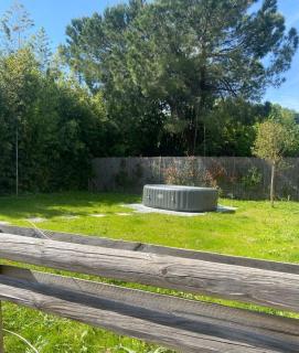 La Campanula-exclusive pool - Santa Maria a Monte - 6