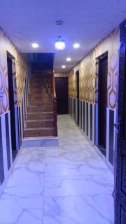 Guddu guest house Srinagar - Srinagar - 8