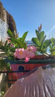 Bettamino Otranto, porta d'Oriente - 8