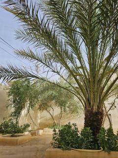 Hadhri Appartement - Tozeur - 6