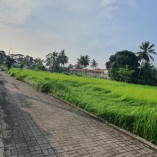 Naturale Villa Ubud, Bali - Ubud - 7