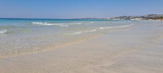 Il MELOGRANO - GIUGGIOLO - 9