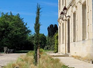 Château Bernon Gite 15 Personnes - piscine et SPA - Queyrac - 8