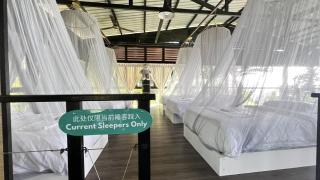 20 Open-Air Fairy-Style Dormitory Beds at Leafty Lodge - Eco Valley Retreat 豐之谷 - 0