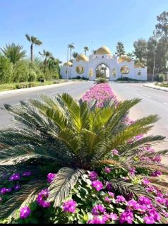 Domina coral bay Beach and lake direct view 2 - Sharm El Sheikh - 4