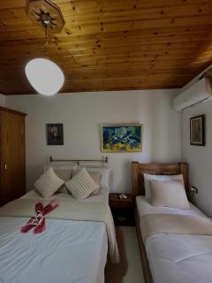 Andria's Apartment - Gjirokastër - 8