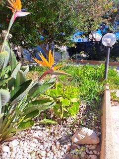 Casa vacanze La Tramontana - 4