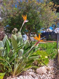 Casa vacanze La Tramontana - 2