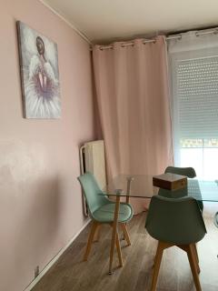 Appartement spacieux et lumineux - Vandoeuvre-lès-Nancy - 4