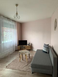 Appartement spacieux et lumineux - Vandoeuvre-lès-Nancy - 1