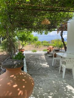 Pedi’s house - 9