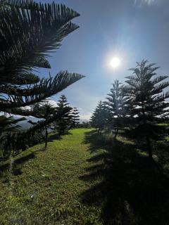Sunset Lodge 日落小屋 - Simply Minimalistic Rooms with Garden Views at Eco Valley Retreat Balung 豐之谷 - 1
