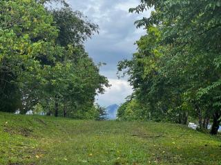 Sunset Lodge 日落小屋 - Simply Minimalistic Rooms with Garden Views at Eco Valley Retreat Balung 豐之谷 - 2