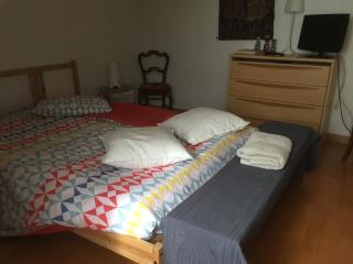Chambres de la Choisille à Fondettes st Cyr Tours - Fondettes - 3