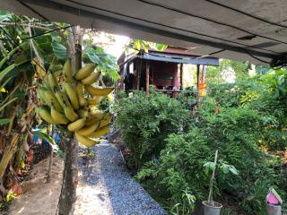 Baan Sudjai homestay - - 2