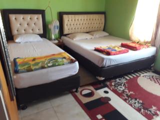 Haji Tasman's Homestay - Bukittinggi - 4