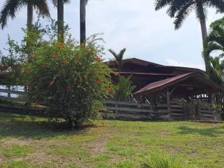 Casa Cereza - Tierra Oscura - 1