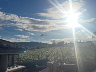 Le Tinailler Grand Standing au Cœur des Vignes - Prissé - 7