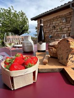 Le Tinailler Gite d'exception au coeur des Vignes- Deux suites parentales - Amazing place - 5