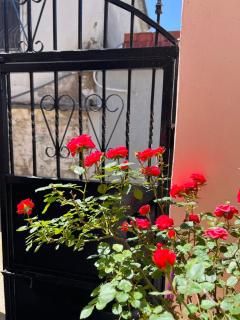 Villa EnSalv Berat - Apartment - Room - Penthouse - Berat - 7