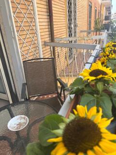 Specter Guesthouse - Nettuno - 6