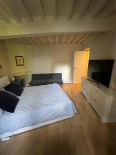 Beautiful Center Apartments - posti auto privati prenotabili - Parma - 4
