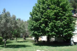 Villa Les Oliviers - Les Angles Gard - 6