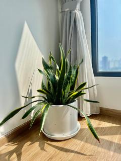 One bedroom in Vinhomes GreenBay Hanoi - 7