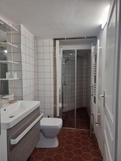Apartament spatios in centru - Oradea - 2