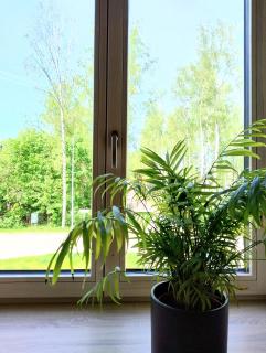 Vytenio22- 2 bedrooms - Prienai - 1