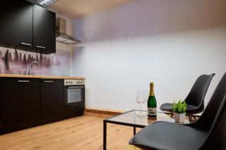 stylisches Apartment I Fahrstuhl I Bahnhofsnah - Erfurt - 3