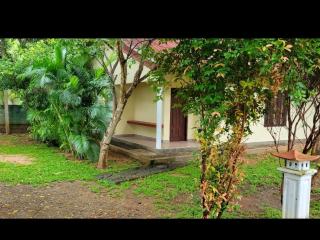 Hotel Tree Garden Wilpaththu Nochchiyagma Anuradhapura - 7