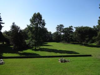 Château Saint Georges - Mauléon - 5