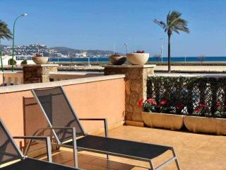 Encantador Apto. Con Gran Terraza Frente Al Mar - Empuriabrava - 9