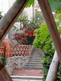 Home Caviglia CITRA 09029-LT-0618 - Finale Ligure - 5