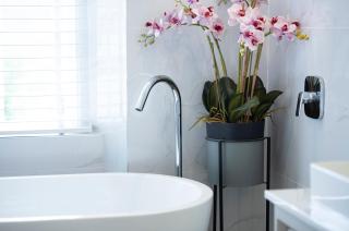 The Old Wine Merchant's House - Bath - 6