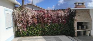 Casinha do Mar - Carvide - 5