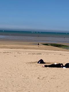 Poziodé - Courseulles-sur-Mer - 9