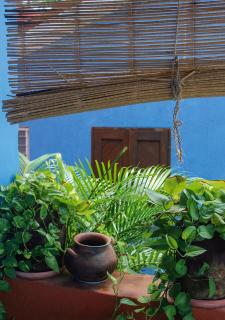 Casa Azul - San Agustinillo - 7