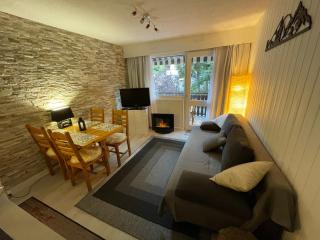 Cosy 2 pièces proche Châtel - 0