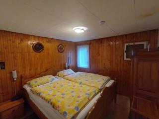 Ferienhaus bei Budapest Für Familie und Hunde - Leányfalu - 2